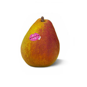 sweet sensation pear